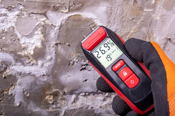 Best Water Damage Restoration  in South Dos Palos, CA