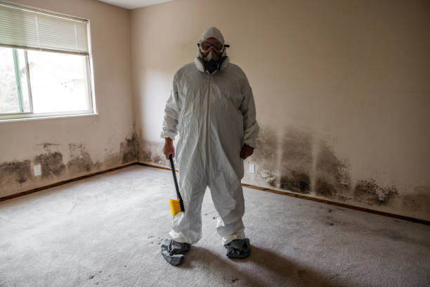 Best Toxic Mold Removal  in South Dos Palos, CA