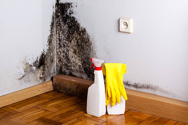 Best Crawl Space Mold Removal  in South Dos Palos, CA